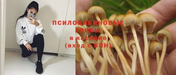 MDMA Вяземский